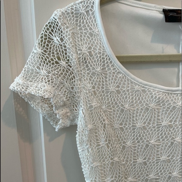 Rosegold Petite White Net Lace Overlay Dress - Picture 11 of 16
